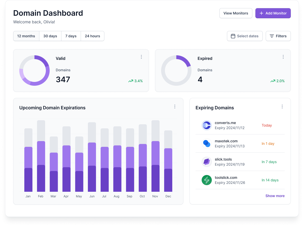 Domain Expiration Dashboard
